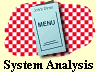  System Analysis 