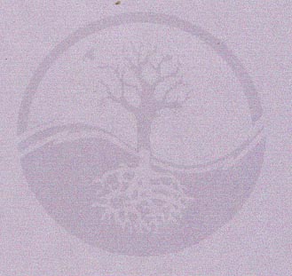 Portals of Perception