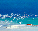 Island Photo - copyright Michael Friedel