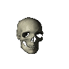 spinskulls.gif (40167 bytes)