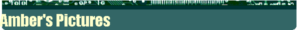 Amber's Pictures