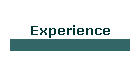 Experience