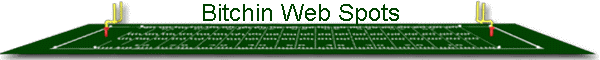 Bitchin Web Spots