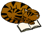 cat and book