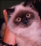 She still needs some Visine!