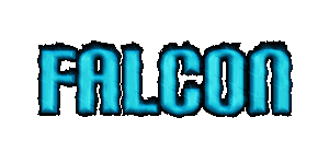 falcon1.gif (81587 bytes)
