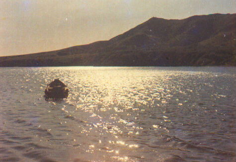 loading image...wait please!