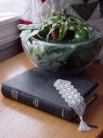 cdjoslin004.jpg 7.1K