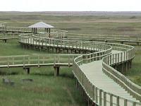 marion-st003.jpg 7.1K