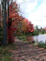 marion-st007.jpg 9.3K