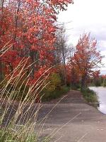 marion-st008.jpg 9.8K