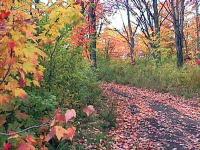 marion-st009.jpg 12.4K