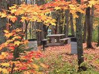 marion-st010.jpg 12.5K