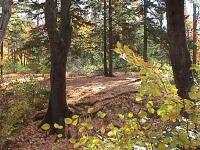 marion-st011.jpg 12.1K