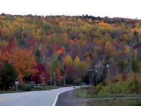 marion-st013.jpg 7.0K