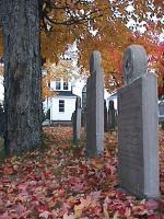 marion-st015.jpg 10.5K