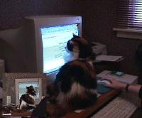 marion-st016.jpg 6.1K