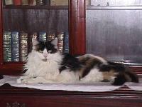 marion-st017.jpg 6.9K