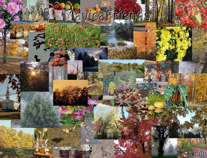 collage-fall.jpg - 146783 Bytes