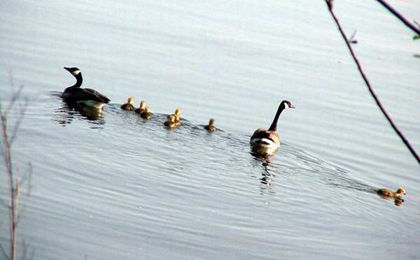 bill_freethinker.jpg - 25101 Bytes