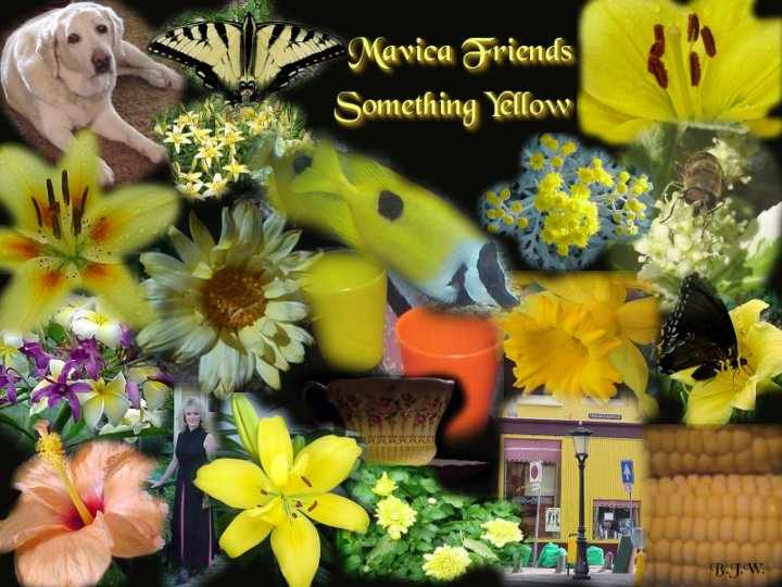 collage_yellow.jpg - 52145 Bytes