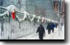 Chicago Snow Fence along Washington St