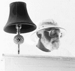 grynpthinv.gif (18376 bytes)