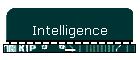 Intelligence