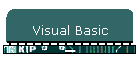 Visual Basic