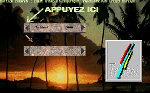 VIDEOGRAPH.gif (32810 octets)