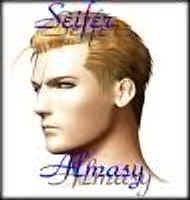 Seifer01.jpg (5508 bytes)