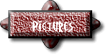 Pictures