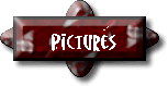 Pictures