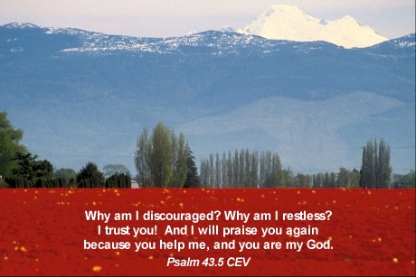 Yes!!!CLICK ON ME!!!