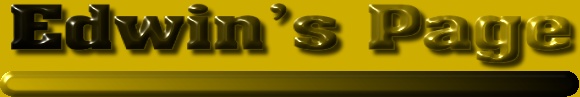 edwinlogo.jpg (21796 bytes)