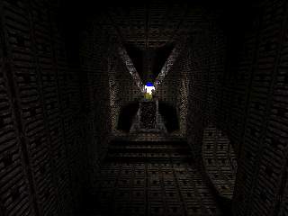 Skin in Action on DM6