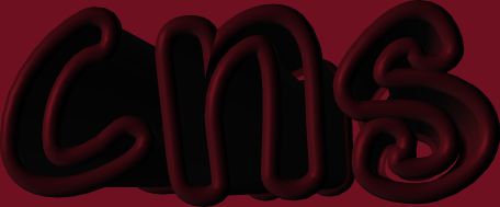 cns title2.jpg (8631 bytes)