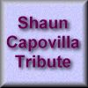 To a special tribute area for Shaun Capovilla