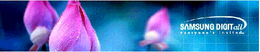 Samsung Digitall