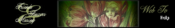 Web TV Help