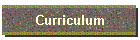 Curriculum