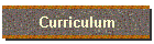 Curriculum