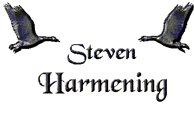 Steven Harmening