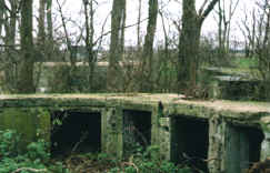 gunpit2.jpg (287650 bytes)