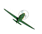 airplane.gif (2535 bytes)