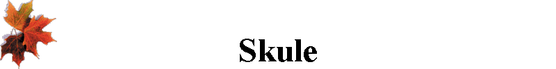 Skule