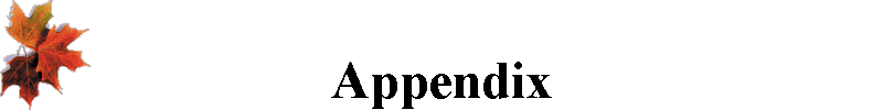 Appendix