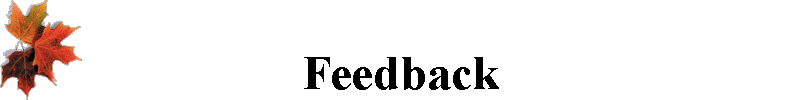 Feedback