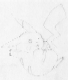 Pikachu Pre-colour