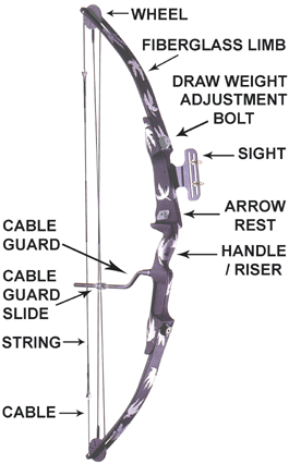 Compound Bow